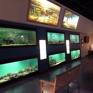 Environmental Center - Assorted Aquatic Tanks