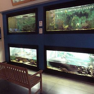 Environmental Center - Assorted Aquatic Tanks