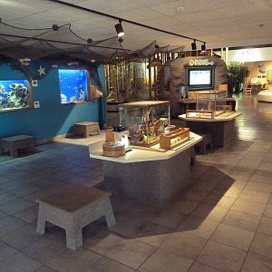 Environmental Center