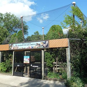 Diversity of Life Complex