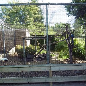 Diversity of Life Complex - Blue-and Gold Macaw + Silver Pheasant Aviary