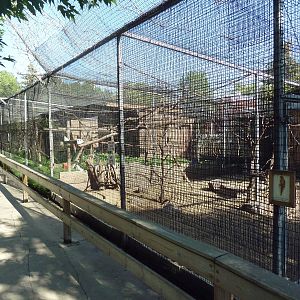 Diversity of Life Complex