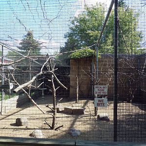 Diversity of Life Complex - Bird Aviary