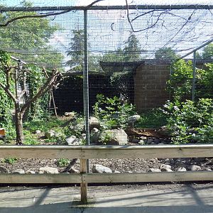 Diversity of Life Complex - Bird Aviary