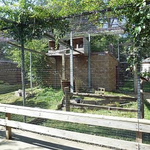Diversity of Life Complex - Red-Tailed Hawk Exhibit