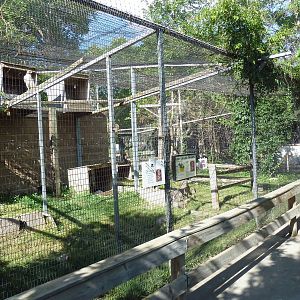 Diversity of Life Complex - Red-Tailed Hawk Exhibit