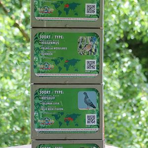 Sign in the European free-flight aviary