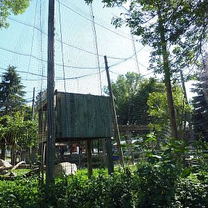 Andean Condor Exhibit