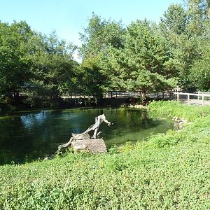 Trumpeter Swan Exhibit