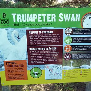 Trumpeter Swan Sign (excellent!)