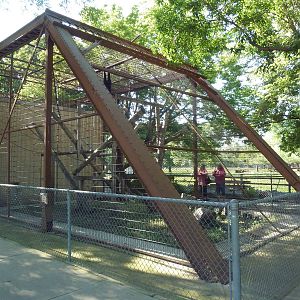 1911 Primate Cage - Siamang Exhibit