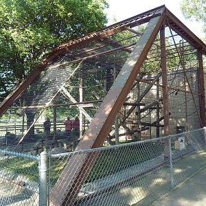 1911 Primate Cage - Geoffrey's Spider Monkey Exhibit