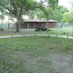 Red Kangaroo/Bennett's Wallaby Walk-Through Yard