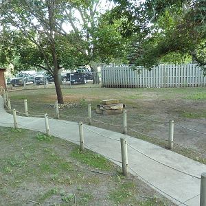 Red Kangaroo/Bennett's Wallaby Walk-Through Yard
