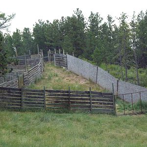 Drive-Thru Section - Hoofstock Side Yard