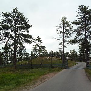 Drive-Thru Section - Bighorn Sheep Area