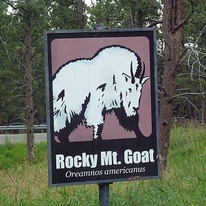 Drive-Thru Section - Signage Example