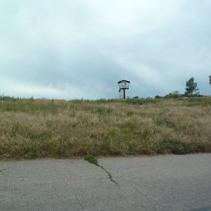 Drive-Thru Section - American Black Bear Area