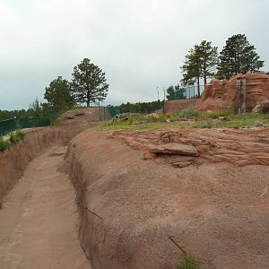 Grizzly Bear Exhibit