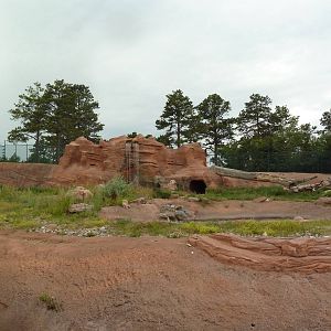 Grizzly Bear Exhibit