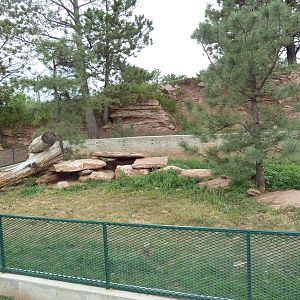 Striped Skunk Exhibit