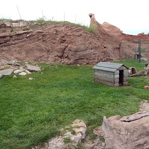 Raccoon Exhibit (nothing to climb on!)