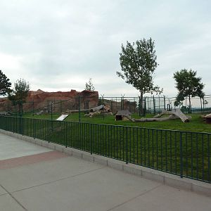 Bobcat + Canadian Lynx Exhibits