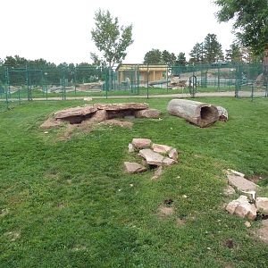 Red Fox Exhibit