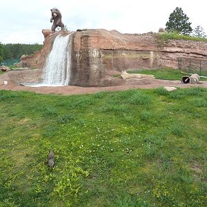 North American River Otter Exhibit