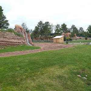 Pronghorn Antelope Exhibit