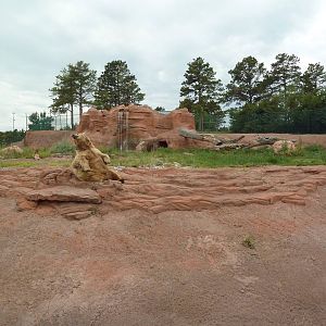 Grizzly Bear Exhibit