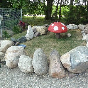 Leopard Tortoise Exhibit