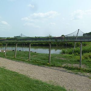 Waterfowl Aviary
