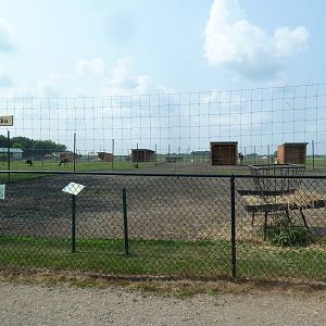 Greater Kudu Exhibit