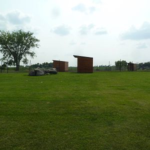 Mouflon Sheep/Bighorn Sheep Exhibit