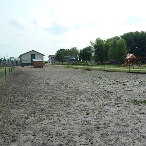White-Tailed Deer Exhibit