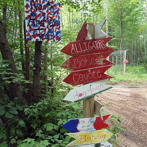 Signs - Of Outstanding Quality!