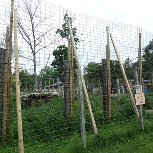 Bengal Tiger Exhibit