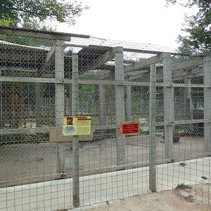 Striped Hyena Exhibit - Pure Cement