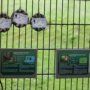 Signs and birth-signs at Born