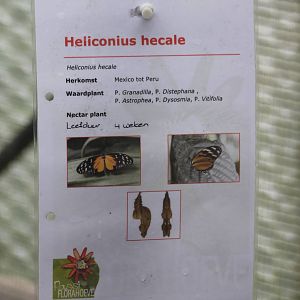 Sign at the Passiflorahoeve