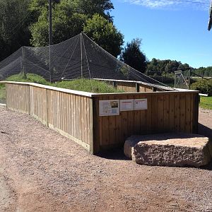 European Souslik exhibit