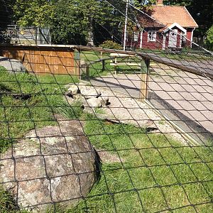 European Souslik exhibit