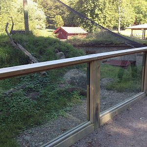 European Souslik exhibit