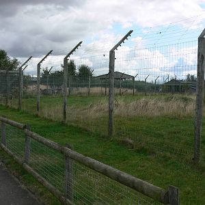 Cheetah Exhibit at Hamerton Zoo, 23/08/14