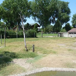 Horns + Antlers: White-Tailed Deer Exhibit