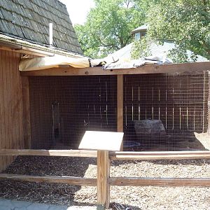 American Badger Exhibit