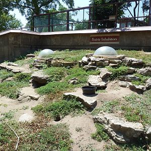 Black-Tailed Prairie Dog Exhibit