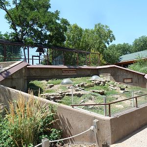 Black-Tailed Prairie Dog Exhibit