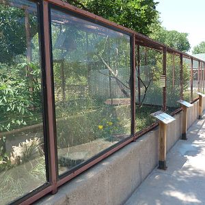 Bird of Prey Exhibits